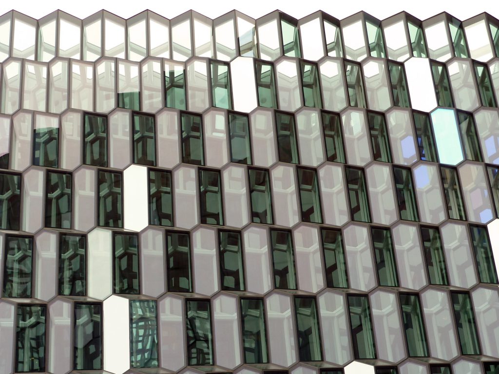 Harpa Concert Hall_013